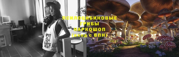 индика Алзамай
