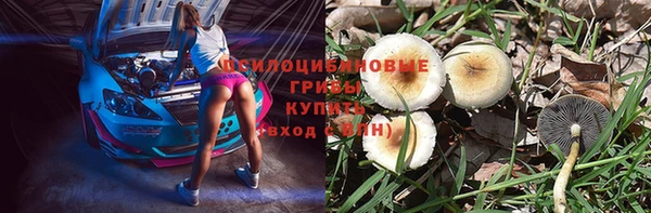 круглые Алексин
