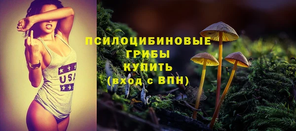 индика Алзамай