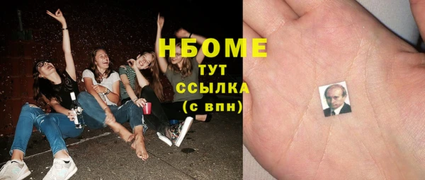 индика Алзамай