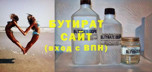 индика Алзамай