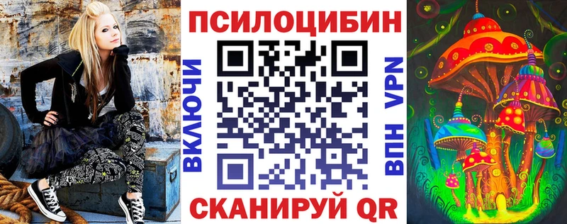 магазин продажи наркотиков  blacksprut маркетплейс  Псилоцибиновые грибы Psilocybe  Нюрба 
